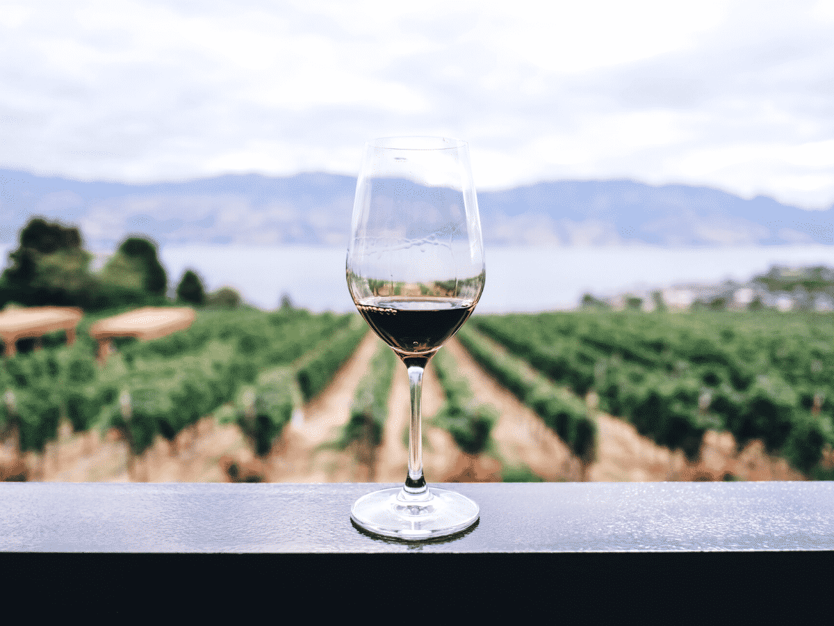 how to find a sustainable winery