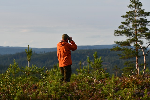 Having the best Bird Watching Binoculars helps observe birds more effortlessly